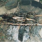 готовим рыбу на реке Воньга